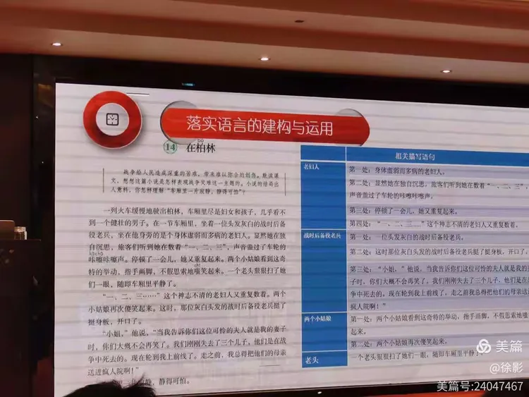 西行路上多坎坷，九九八一又回头打一正确生肖全面释义、实时解答解释落实