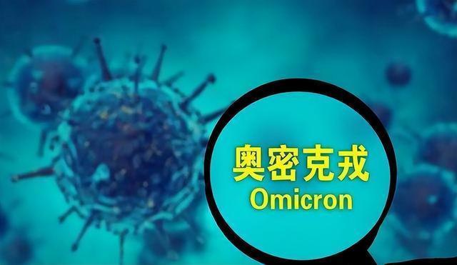 六十光阴三和三准确生肖请全面2释义、解释与落实、深度解答解释落实